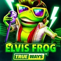 6733